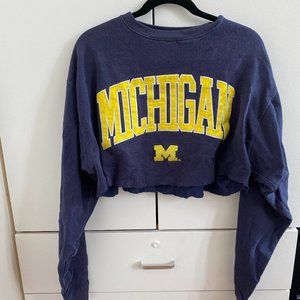 Vintage Michigan Cropped Sweater